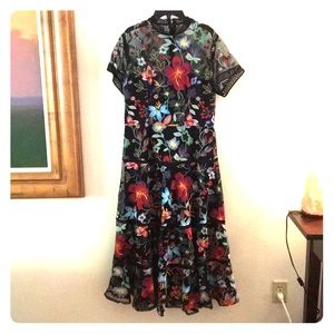 Beautiful Anthropologie Janine Embroidered Dress
